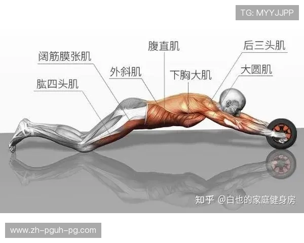 龙门架绳索训练完整腹直肌的进阶技巧